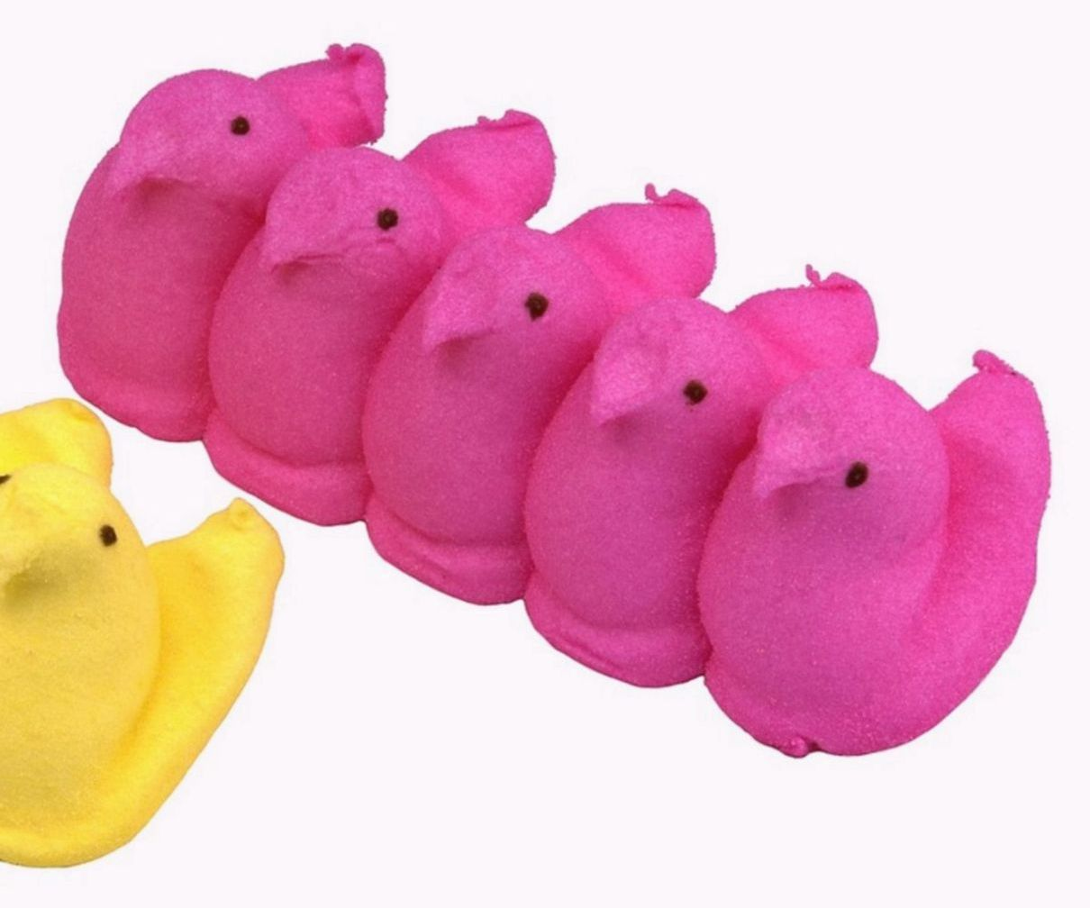 Vitrina llena de bombones de chocolate y golosinas artesanales